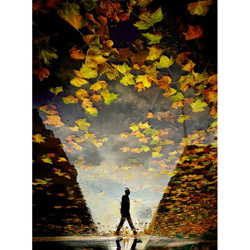 The Art of Solitude