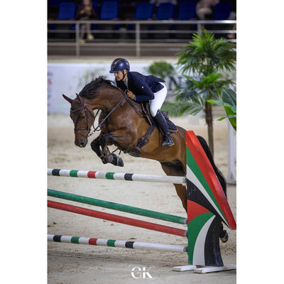 Equestrian - The Ultimate Book