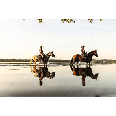 Equestrian - The Ultimate Book