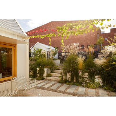 Cottagecore Gardens: A New Take on Living Landscapes