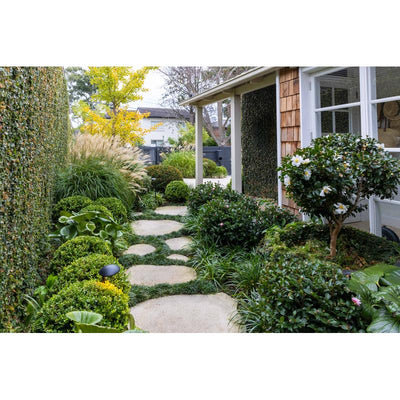 Cottagecore Gardens: A New Take on Living Landscapes