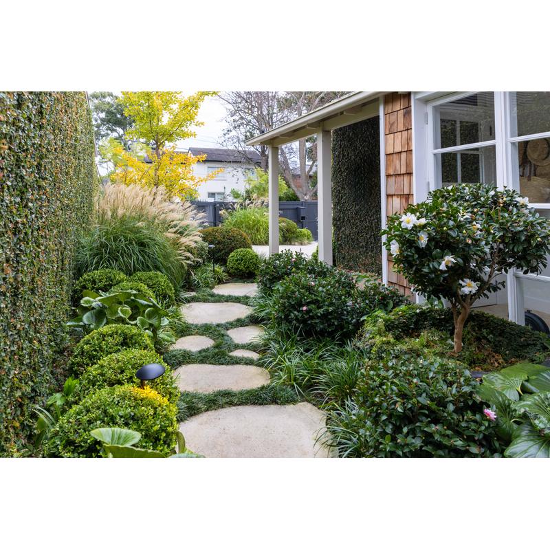 Cottagecore Gardens: A New Take on Living Landscapes